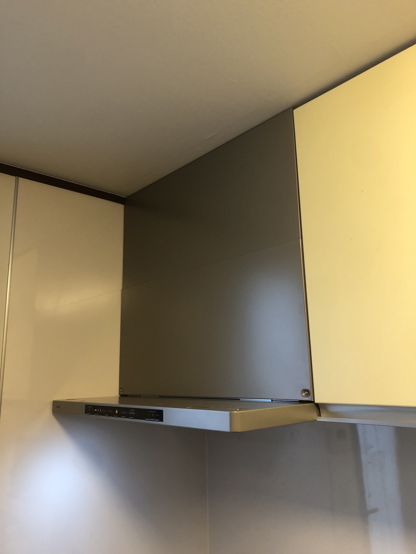 ノーリツ　クララ　75㎝の写真